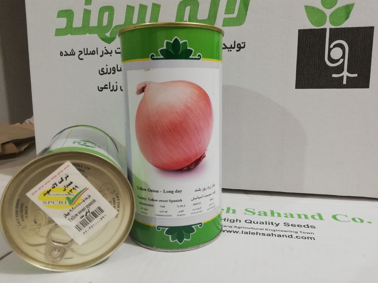 بذر پیاز رقم یلو سوییت اسپانیش