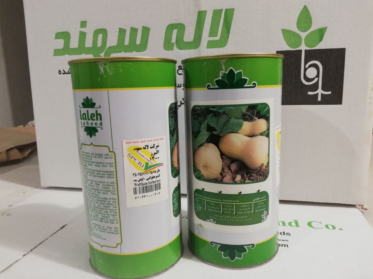 بذر کدو حلوایی، رقم Waltham butternut