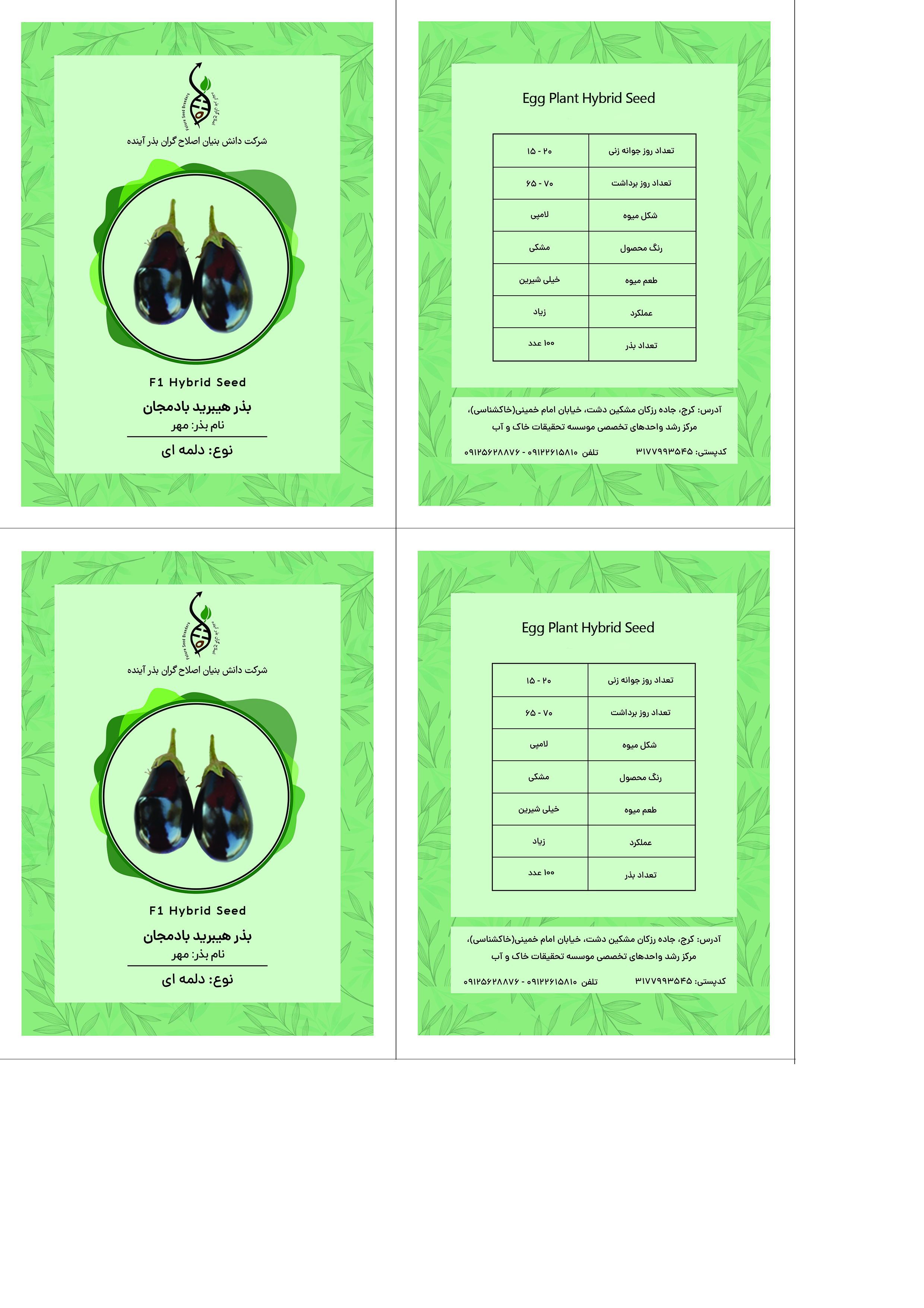 بذر هیبرید بادمجان