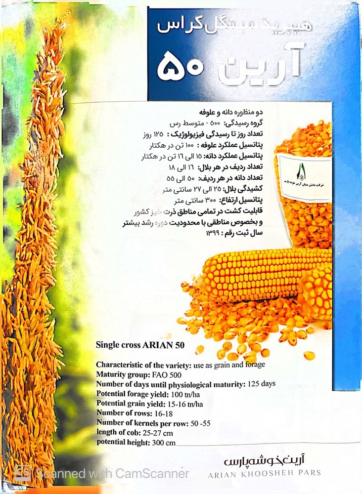 بذر ذرت رقم آرین 50
