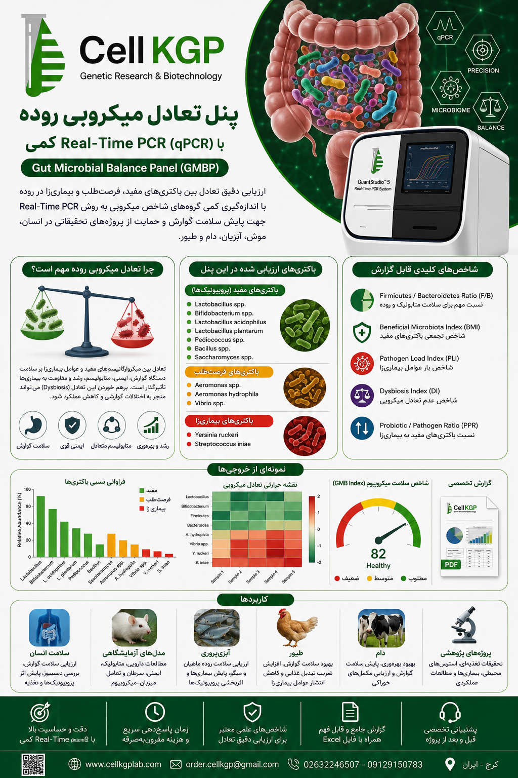 پنل تعادل میکروبی روده با Real-Time PCR کمی