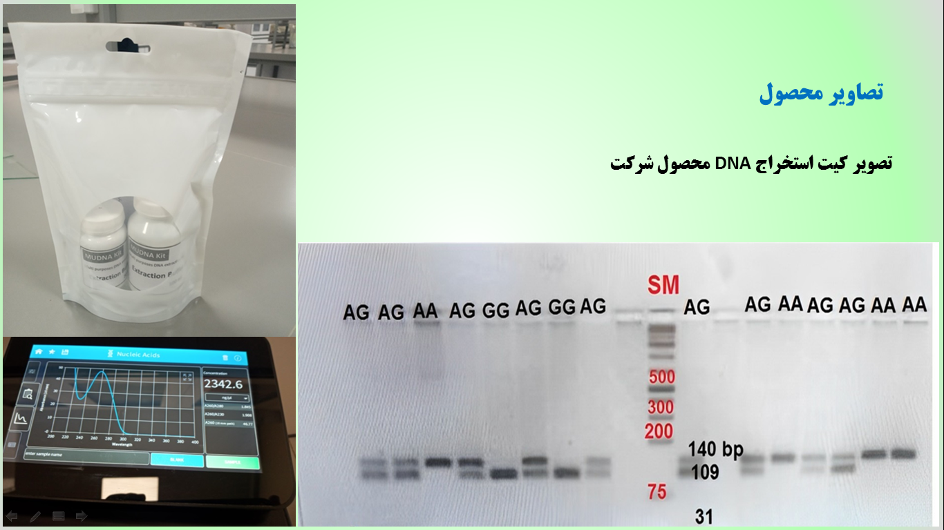 کیت استخراج DNA چندمنظوره جانوری (خون، بافت، سلول، باکتری)